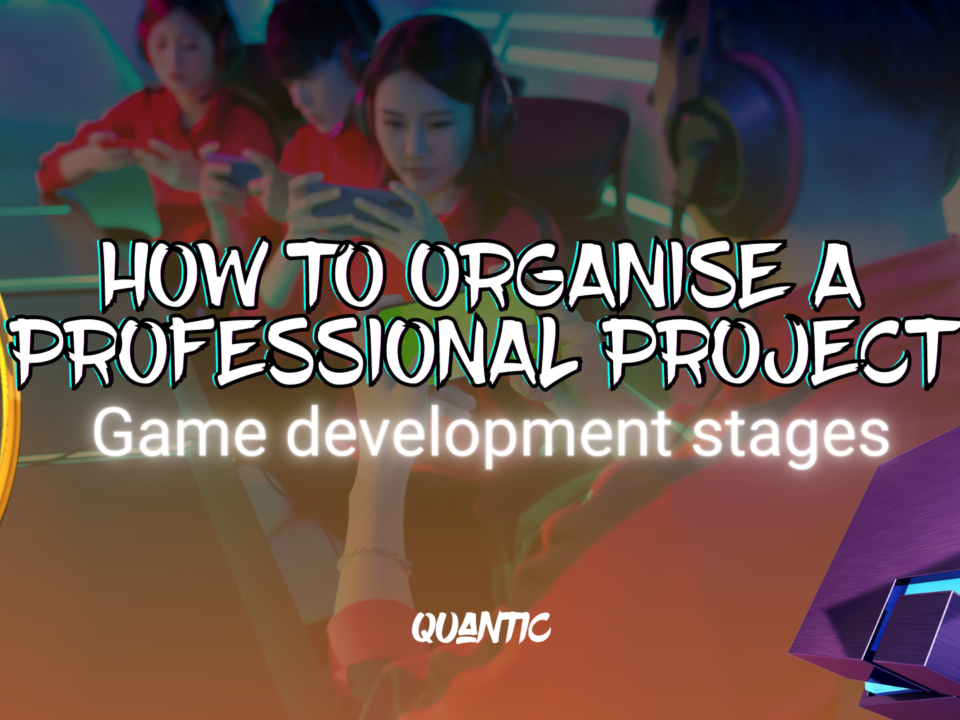 how-to-organise-a-professional-project