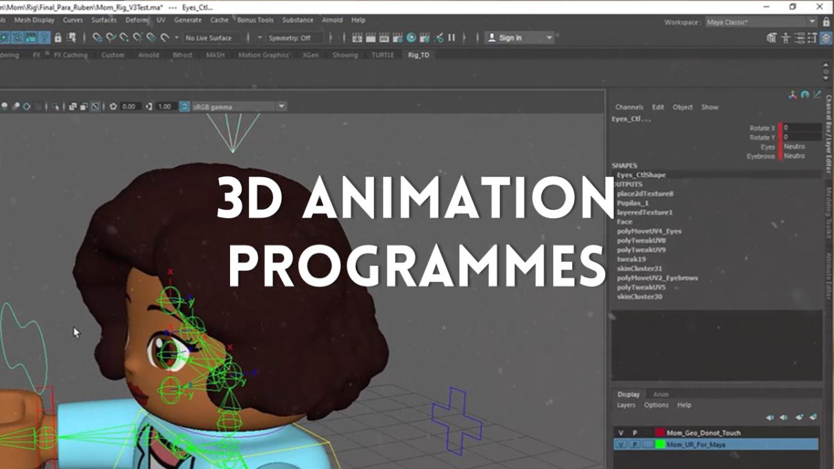 3D animation programmes